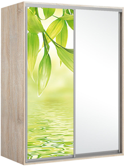 Elma 2024-1-SF-60