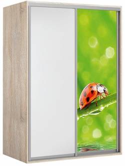 Elma 1724-1-SF-60
