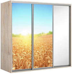 Elma 2424-2-SFF-60