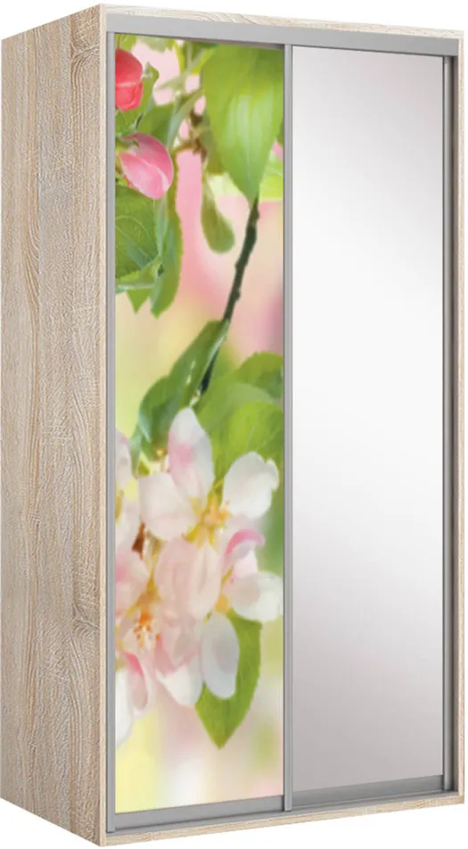 Elma 1123-1-SF-60