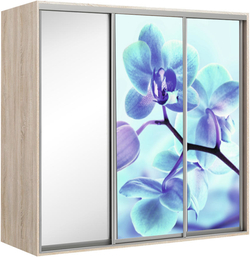 Elma 2424-2-SFF-60