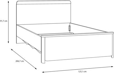 Surfinio SFNL1121