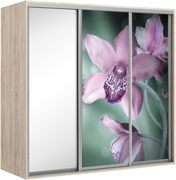 Elma 2423-2-SFF-60
