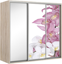 Elma 2420-1-SFF-60