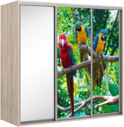Elma 2424-2-SFF-60