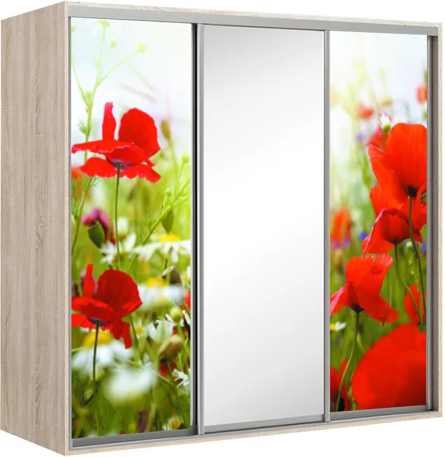 Elma 2423-2-SFF-60