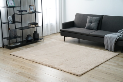 Paklājs 160x200 Roger 30012 Light Brown