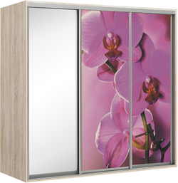 Elma 2423-2-SFF-60