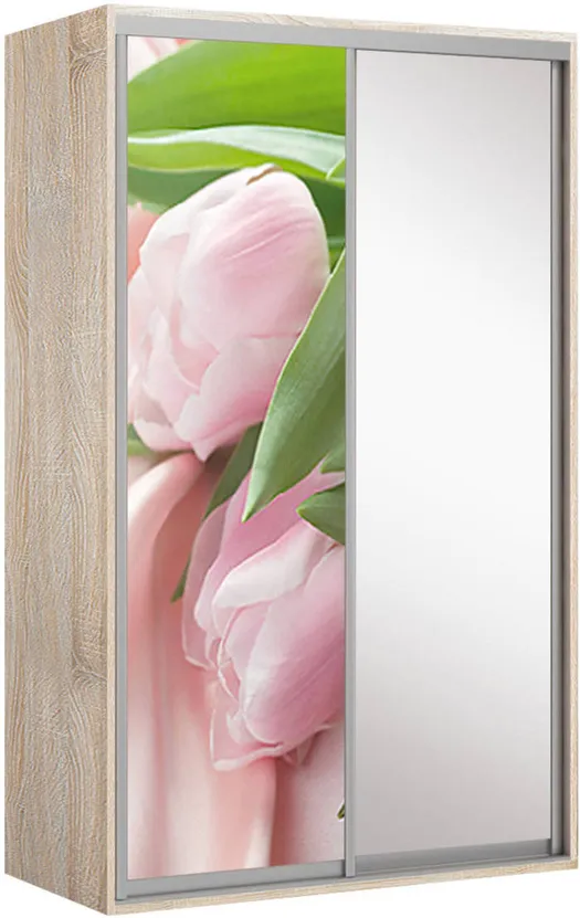 Elma 1420-1-SF-45