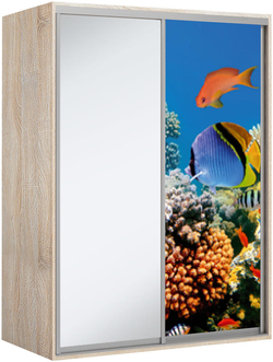 Elma 2024-1-SF-60