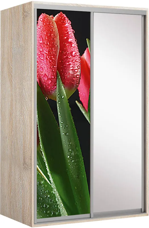 Elma 1424-1-SF-60