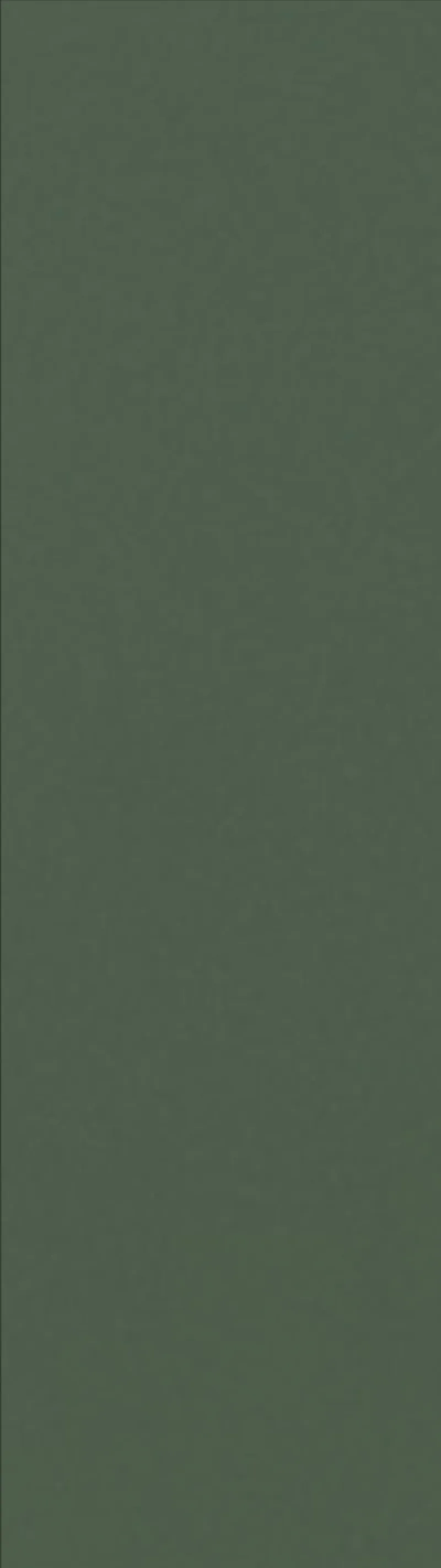 BlanKit F30.h105 GreenSmoky.M356