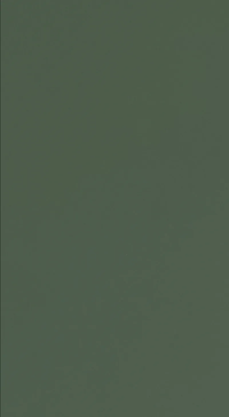 BlanKit F40 GreenSmoky.M356