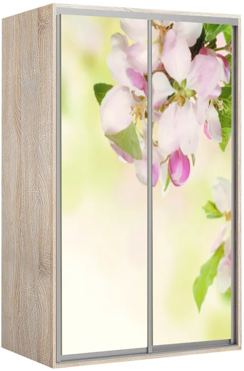 Elma 1520-1-FF-60