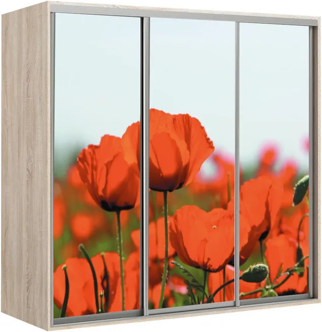 Elma 2421-1-FFF-60