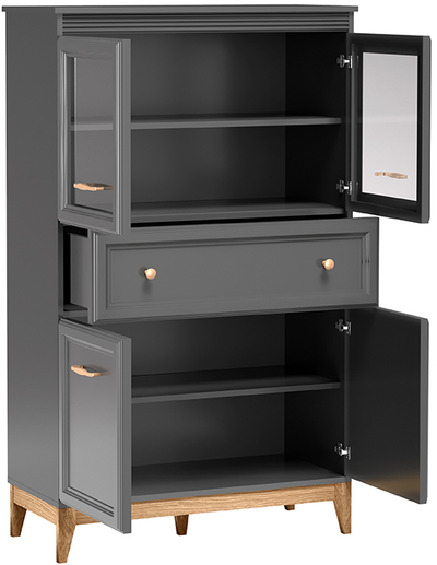 Plaukts ar stiklu / vitrīna Terra TA-5