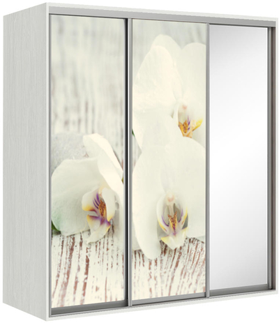 Elma 2124-2-SFF-60