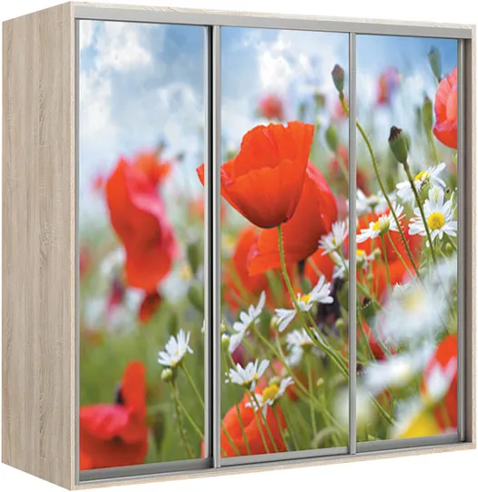 Elma 2423-1-FFF-60