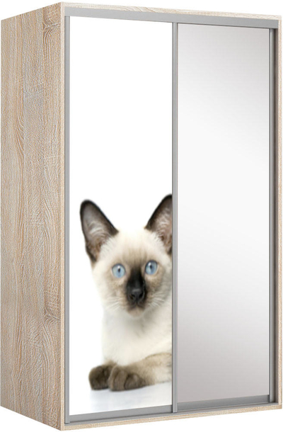 Elma 1424-1-SF-60
