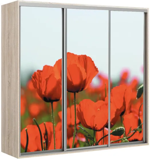 Elma 2421-1-FFF-45