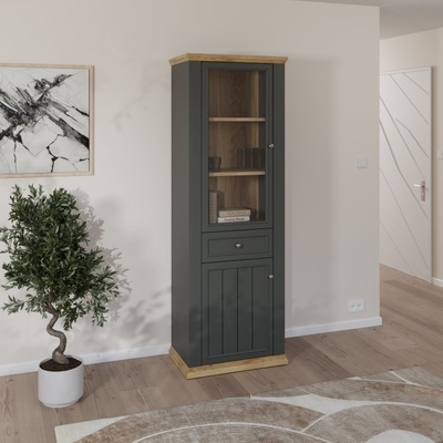 Plaukts ar stiklu / vitrīna Pontypool PNTV711