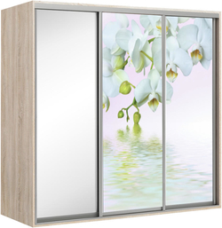 Elma 2423-1-SFF-60