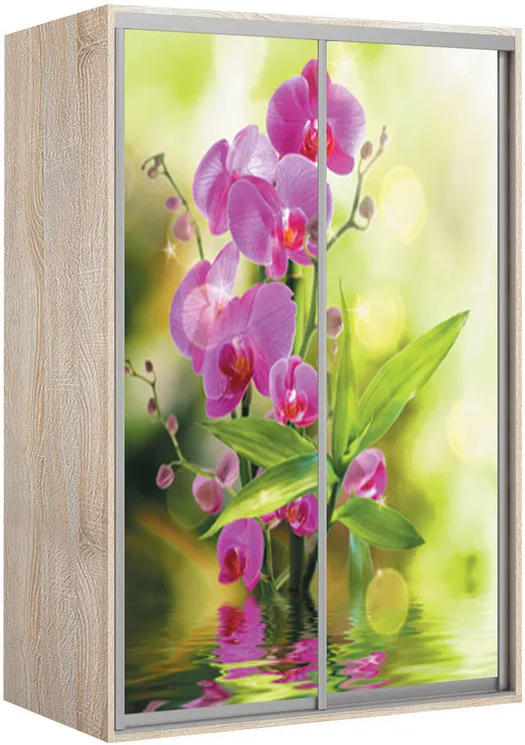 Kapp riidepuu toruga Elma 1724-1-FF-60