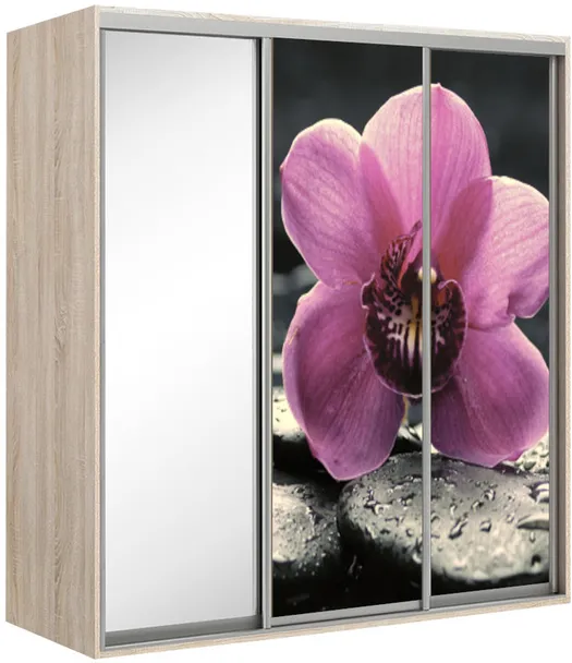 Kapp riidepuu toruga Elma 2223-2-SFF-60
