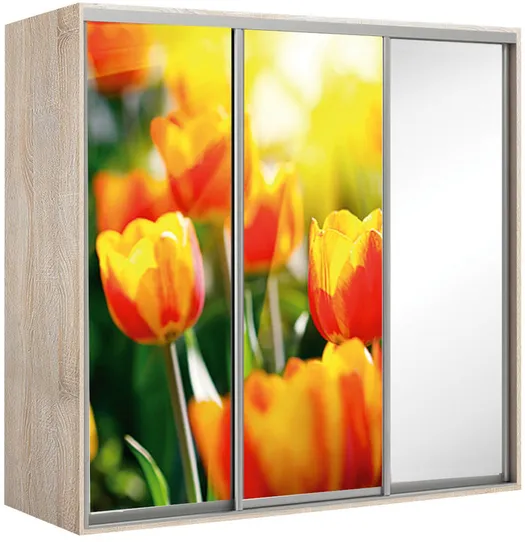 Kapp riidepuu toruga Elma 2422-2-SFF-60