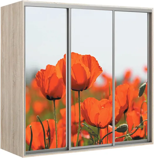 Elma 2424-1-FFF-60