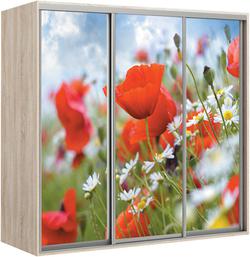 Elma 2424-1-FFF-60
