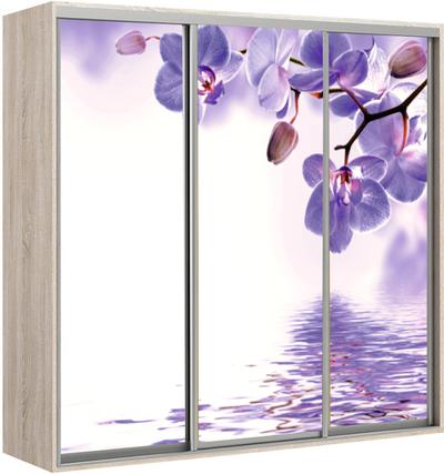 Kapp riidepuu toruga Elma 2424-2-FFF-45