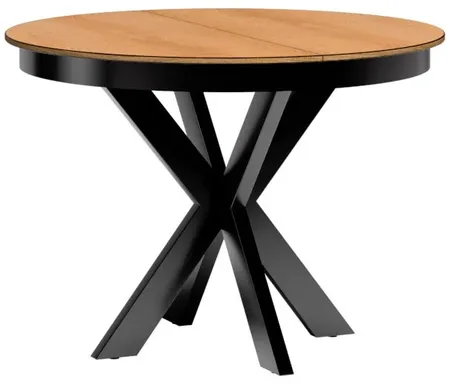 Laud Fonti F10