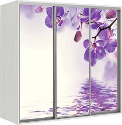 Шкаф для одежды с вешалкой Elma 2424-1-FFF-60